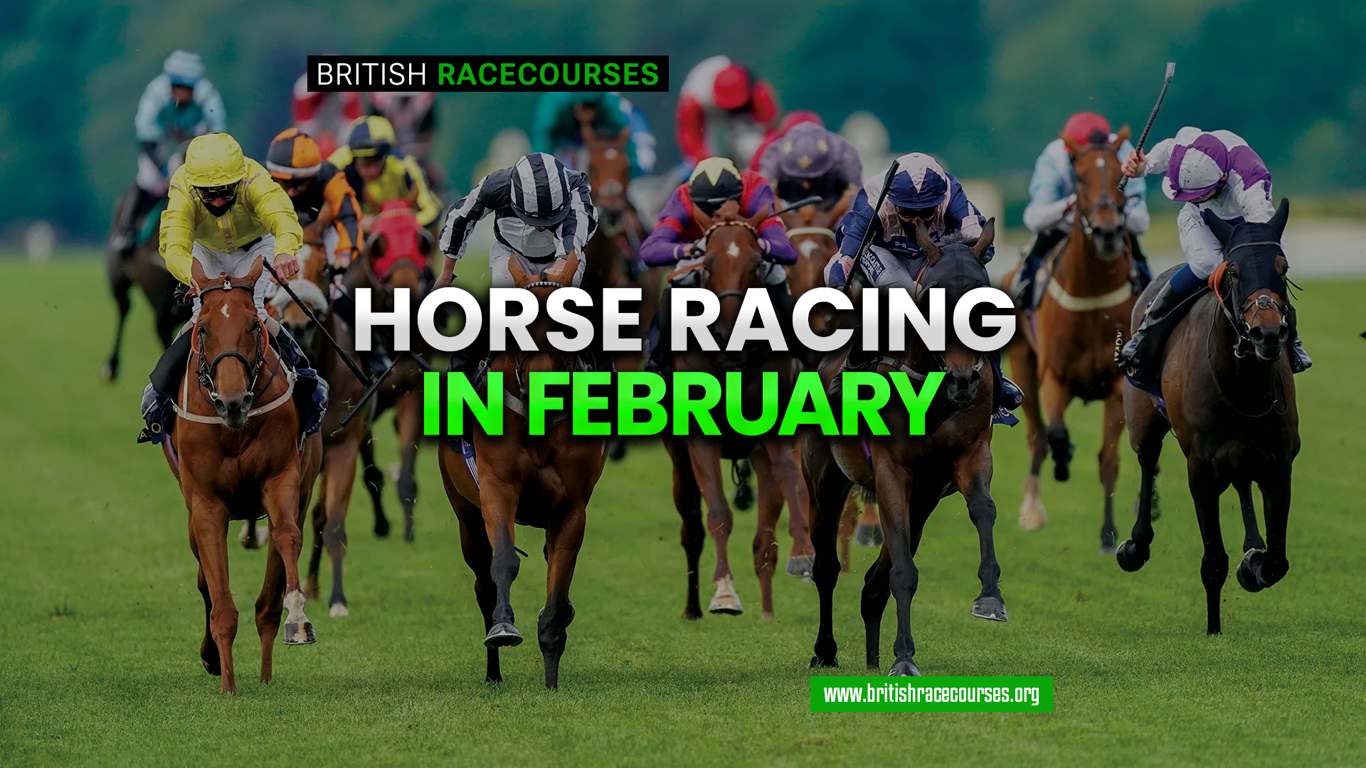 Horse Racing in Feb