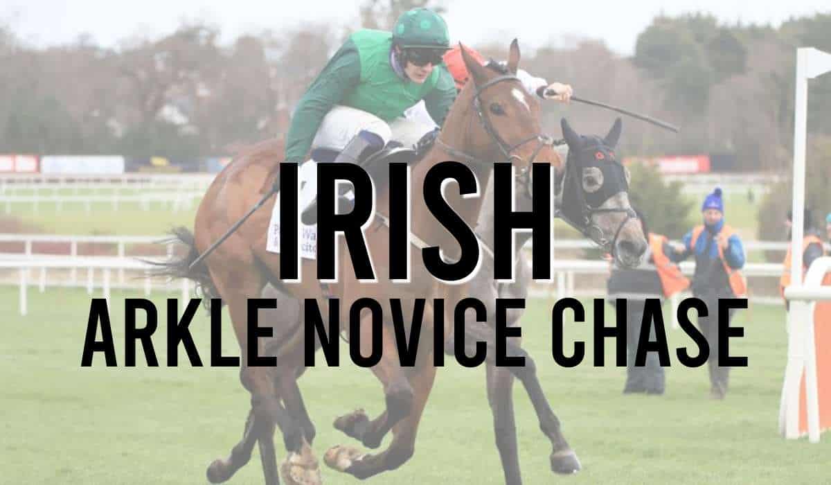 Irish Arkle Novice Chase Leopardstown Dublin Racing Festival 2024