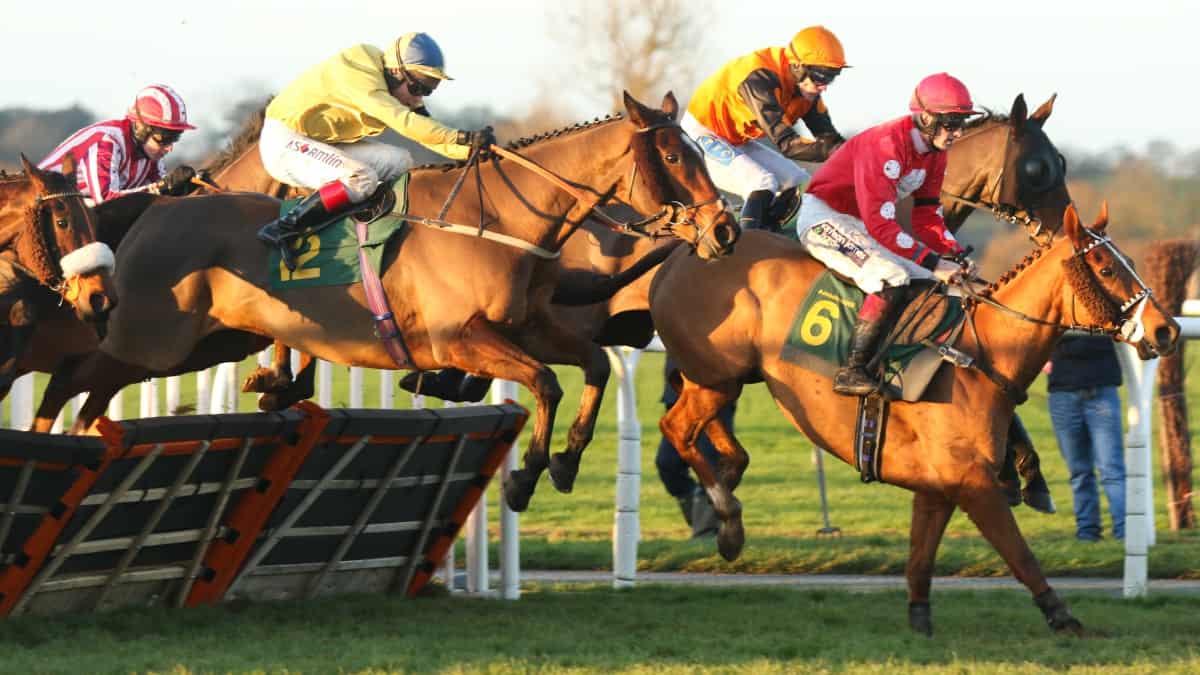 Bangor on Dee Racecourse Guide, Fixtures, Betting & Tips 2023