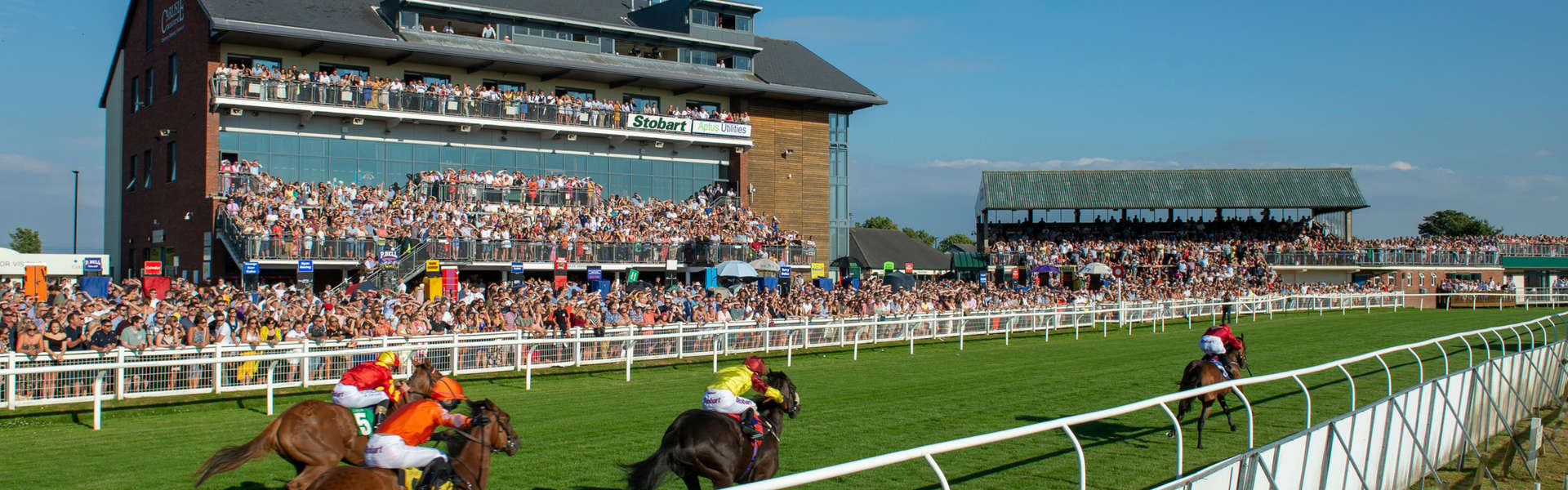 Carlisle Racecourse Guide, Fixtures, Betting & Tips 2023