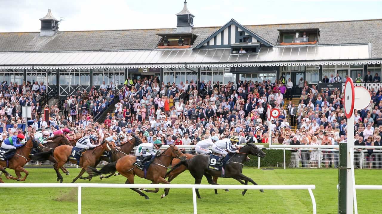 Musselburgh Racecourse Guide, Fixtures, Betting & Tips 2022