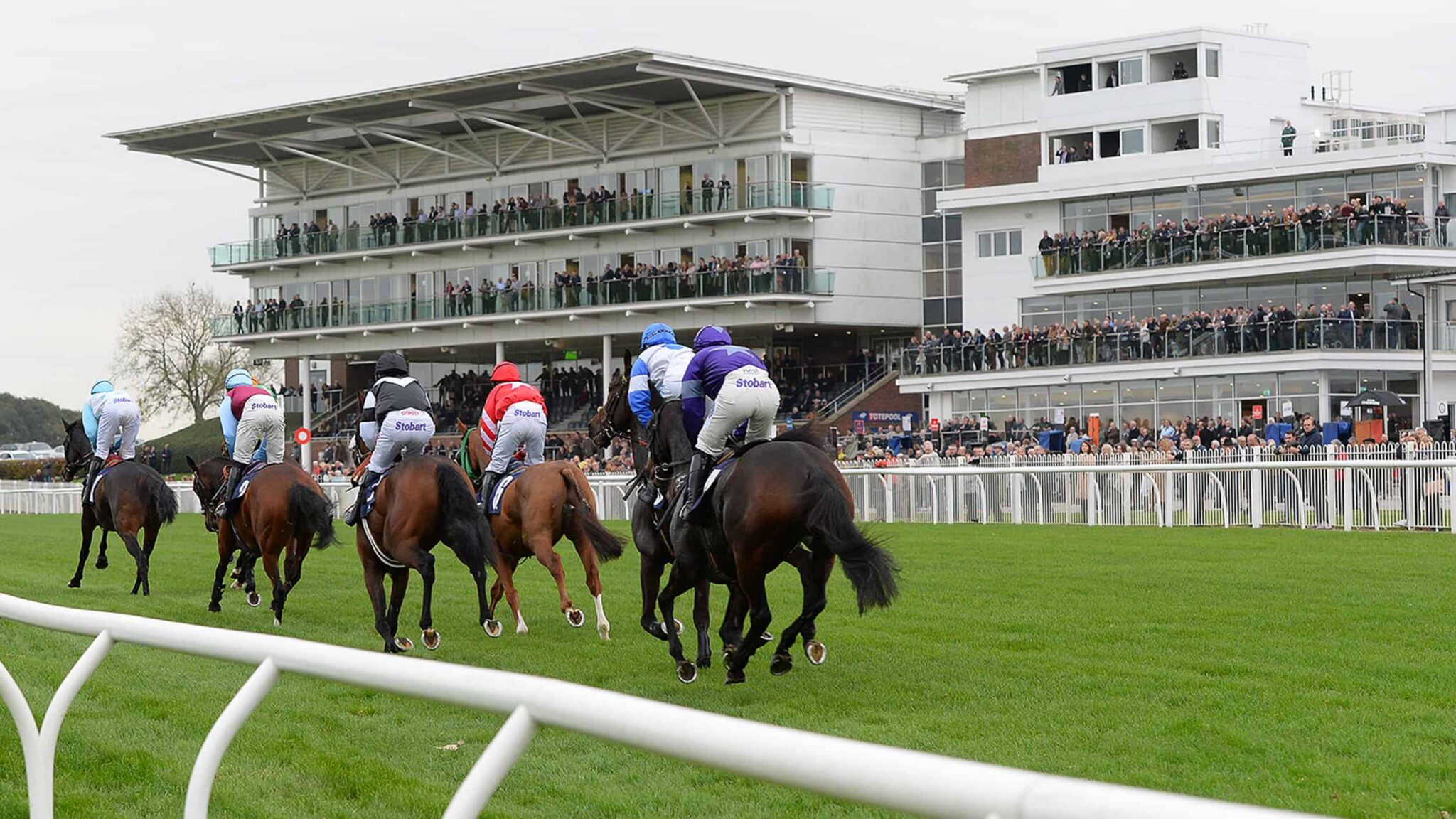 Wetherby Racecourse Guide, Fixtures, Betting & Tips 2023