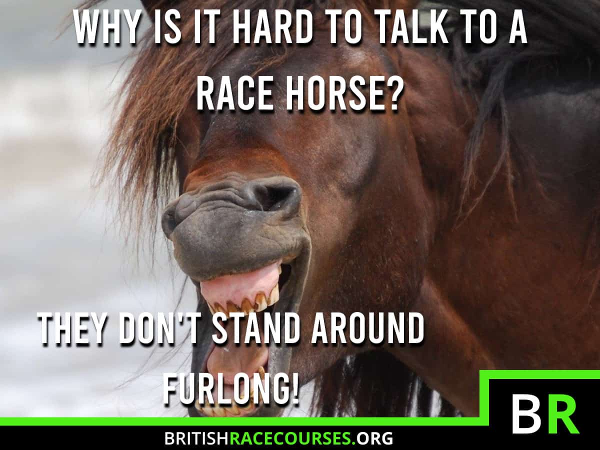 horse-racing-memes-funny-racing-memes