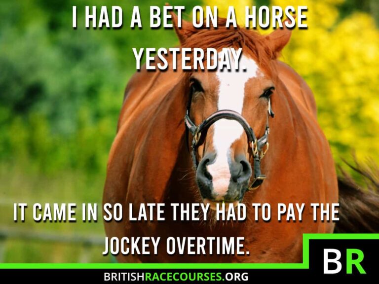 Horse Racing Memes Funny Racing Memes