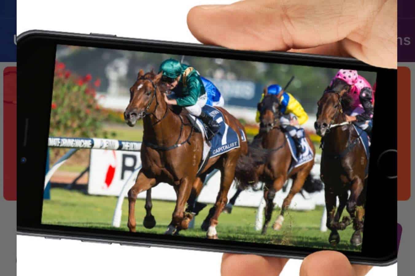 Live Horse Race Streaming