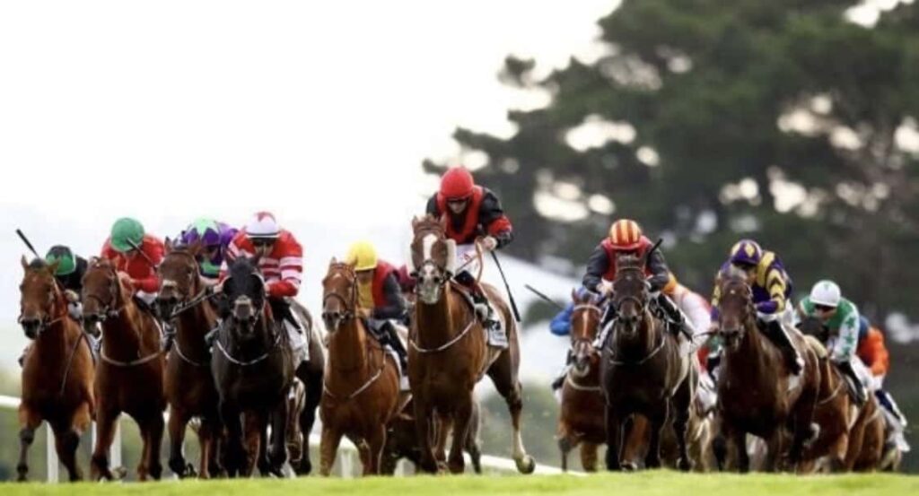 Horse Racing Events Major UK, Ireland and Worldwide Races