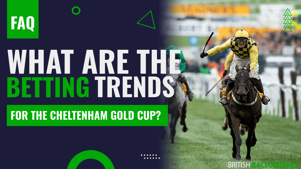 Cheltenham Gold Cup Tips, Odds, Stats and Trends 🏇🏆 2023