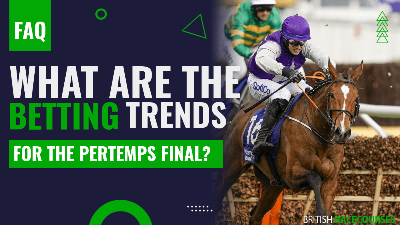 Pertemps Final - Tips, Odds, Stats and Trends