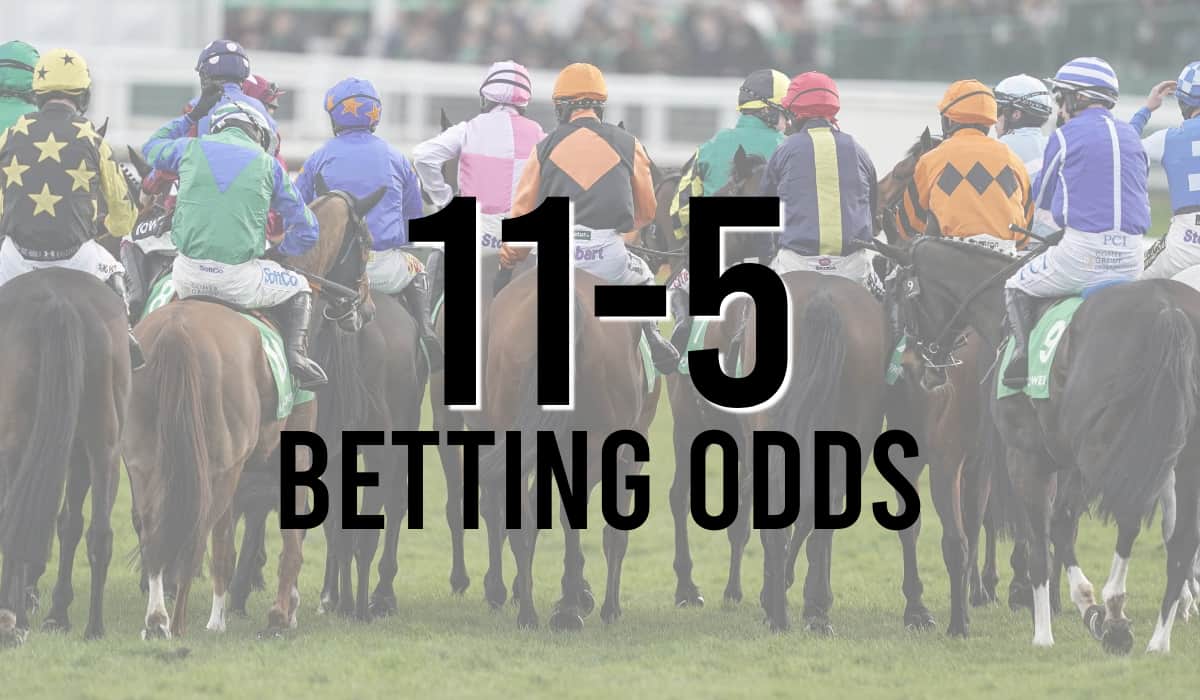 51 Betting Odds What do odds of 5 to 1 mean?